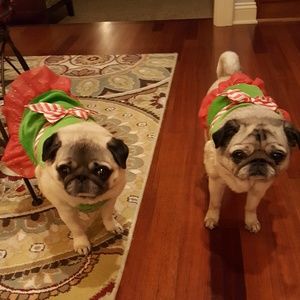 Meet your Posher, Mary